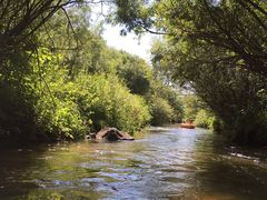 -塞罕坝国家级自然保护区