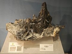 -贵州省地质博物馆