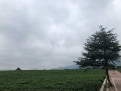 -艾维庭美容纤体SPA