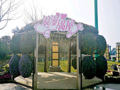 -荷兰花海