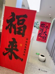 -三只熊皮肤管理中心旗舰店