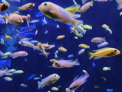 -成都浩海立方海洋公园