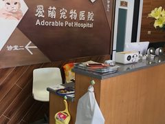 -美联众合宠物医院·爱萌分院·内外科·猫科中心
