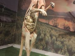 -生命奥秘博物馆