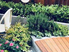 -Peet's Coffee皮爷咖啡(大学路店)