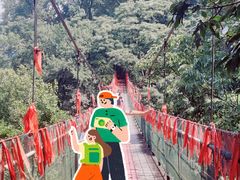 -桂林古东瀑布景区