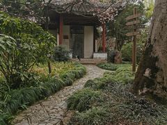 -秋霞圃
