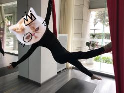 -榕树上·瑜伽普拉提