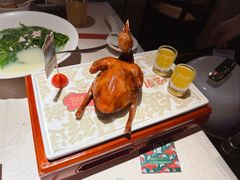 -大鸽饭(动物园店)