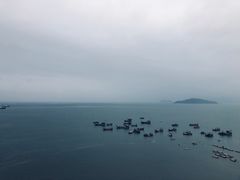 -北岐滩涂