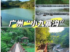 -广州白江湖森林公园