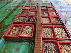 -景好海鲜餐厅(大鹏必选旅游店)