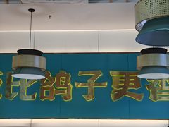 -鸽小宝(深圳首店)