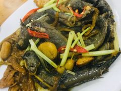-长平肥姐白粥·海鲜打冷