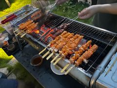 -三峡国际房车露营地(G348店)