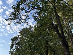 -华东政法大学(松江校区)