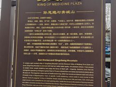-张醪糟