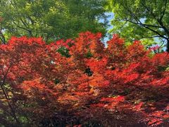 -苏州河梦清园环保主题公园