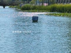 -后襄河公园