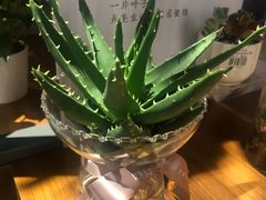 -阅·潮Readzone(珠海华发商都店)