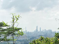 -火炉山森林公园