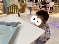 -Moni星球萌宠·小马宝莉·灵蛇·高端高阶全萌宠互动体验俱乐部(红豆国际广场店)