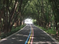 -同里国家湿地公园