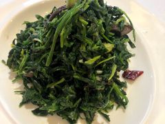 茶树菇拌荠荠菜-中发源·清真餐厅(南油店)