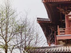 -西安青龙寺遗址景区