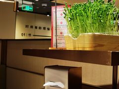 -海底捞火锅(江南盛天地店)