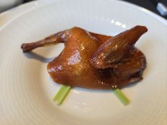 -云门锦翠(商鼎国际店)