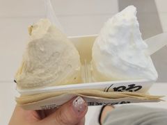 五常大米冰淇淋-野人先生Gelato(上海长宁龙之梦店)