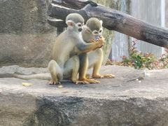 -上方山森林动物世界