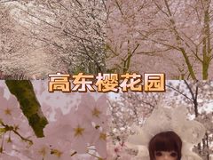-高东镇樱花园