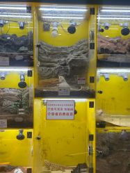 点击看大图 -神奇动物撸宠馆·羊驼·小浣熊·异宠(豫园店)
