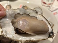 -杨氏青龙虾·羊肉季(金盛路总店)