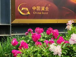 -中国黄金(北京旗舰店)
