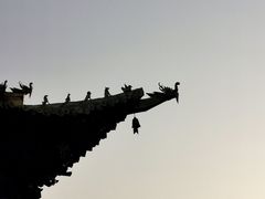 -西安市广仁寺