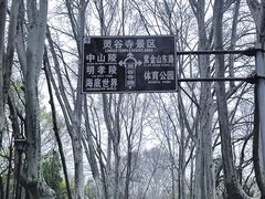 -牛首山文化旅游区