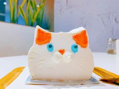猫咪蛋糕-随心小姐