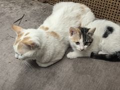 -Circle圆·花园西餐厅