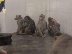 -西安秦岭野生动物园