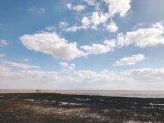 -南汇嘴观海公园