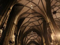 -斯蒂芬主教座堂(Stephansdom)