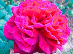 -人民公园(罗湖区)