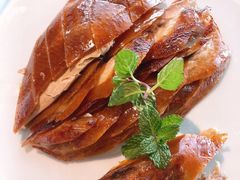 精品烤鸭-悦江(梅奔中心店)