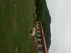 android_upload_pic-帽儿山风景区