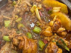 鸡鸡蛙蛙中煲-川香煲(茅台路店)