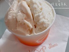 -DIP in GELATO(富民路店)