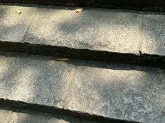 -火炉山森林公园